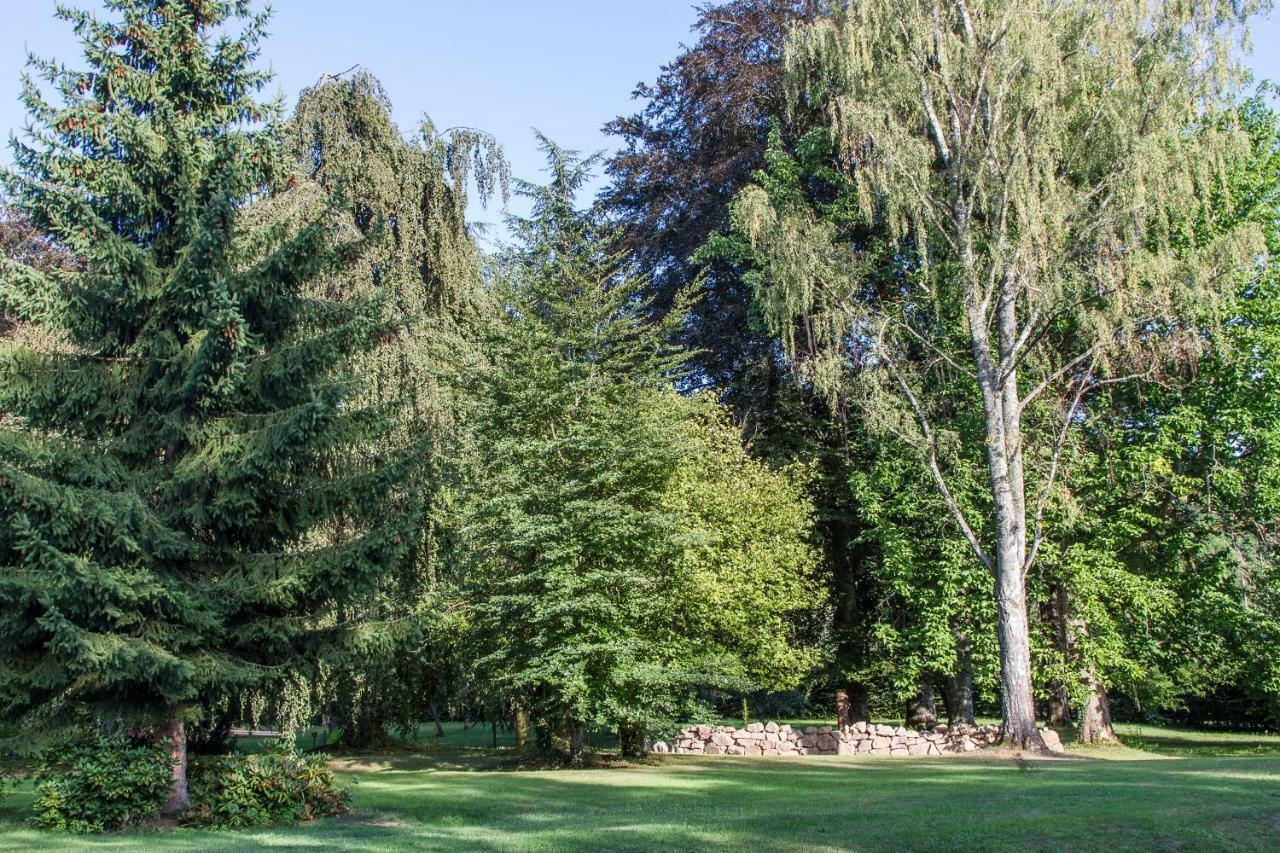 Chambres D'Hotes Domaine Des Iris Anould Esterno foto